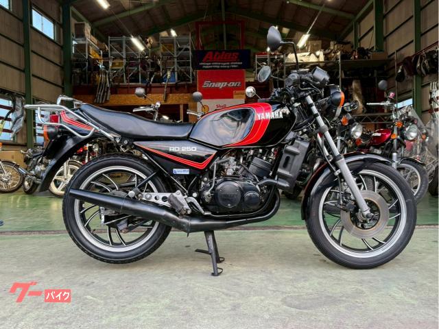 ＲＺ２５０　オリジナル　純正オプションリアキャリア　輸出仕様　ＲＤ２５０　オリペン