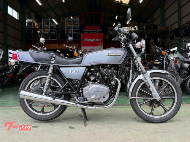 Ｚ２５０ＦＴ　オリジナルペイント　フルノーマル　ワンオーナー　１２ヶ月点検費用込み