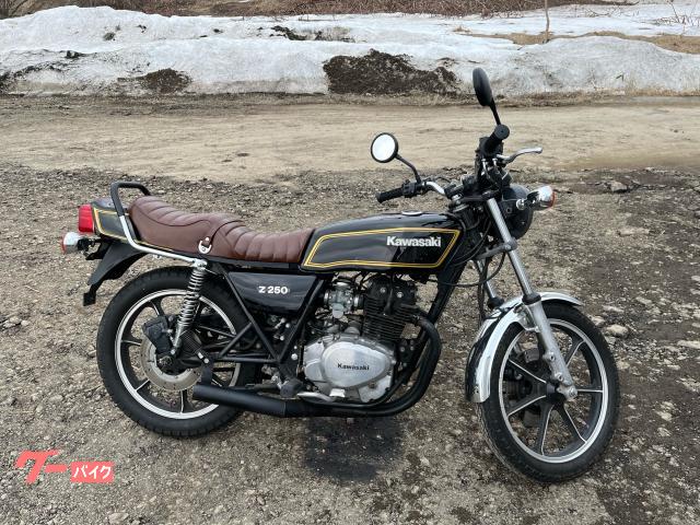 Ｚ２５０ＦＴ