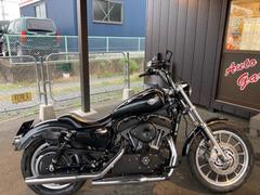 ＨＡＲＬＥＹ−ＤＡＶＩＤＳＯＮ　ＸＬ１２００Ｒクロームワークスマフラー　Ｓ＆Ｓエアクリーナー　オリジナルファイヤーパターンタンク　社外ハンドル　社外メーターＥＴＣ