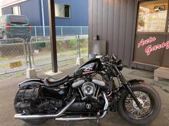 ＨＡＲＬＥＹ−ＤＡＶＩＤＳＯＮ　ＸＬ１２００Ｘ　フォーティエイト　ＫＥＳＳＴＥＣＨ可変バルブマフラー　アレンネスエアクリ　ＦＰ３　８５０回転　ＨＤグリップレバー