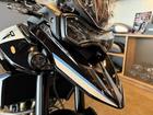 タイガー900アルパインエディション 限定モデル アクラポビッチマフラー グリップヒーター シートヒーター フォグランプ