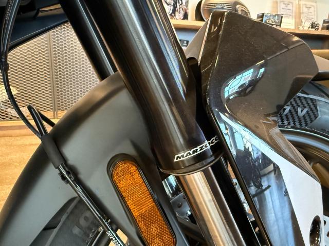タイガー900GT スノードニアホワイト／サファイアブラック ブレンボキャリパー キャストホイール LEDライト