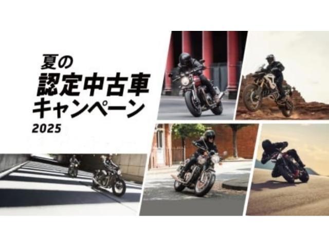 タイガー900ラリー PRO 認定中古車 ブラック フォグランプ ブレンボキャリパー シフトアシスト クルコン グリップヒーター付