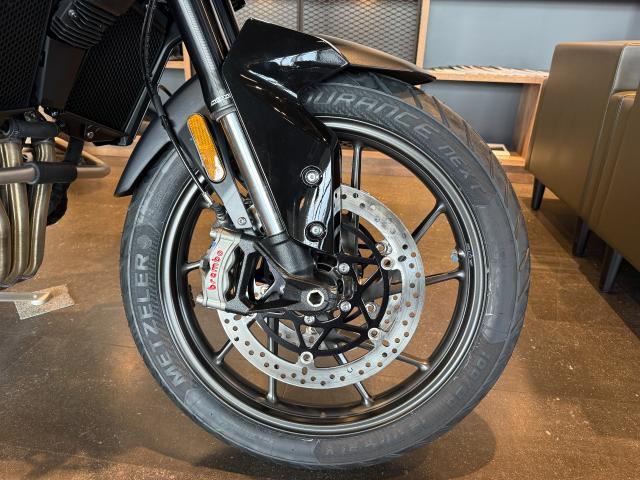 タイガー900アルパインエディション 限定モデル アクラポビッチマフラー グリップヒーター シートヒーター フォグランプ