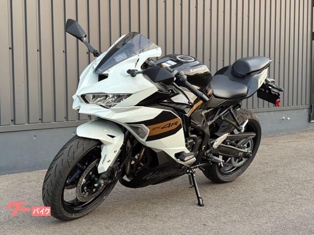 S❤︎R様白一枚 Sさん専用 直流 安定化電源｜ZX-Sシリーズ｜高砂製作所