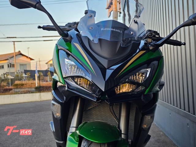 Kawasaki Ninja 1100 SX SE ETC/ - 2025 — миниатюра 5