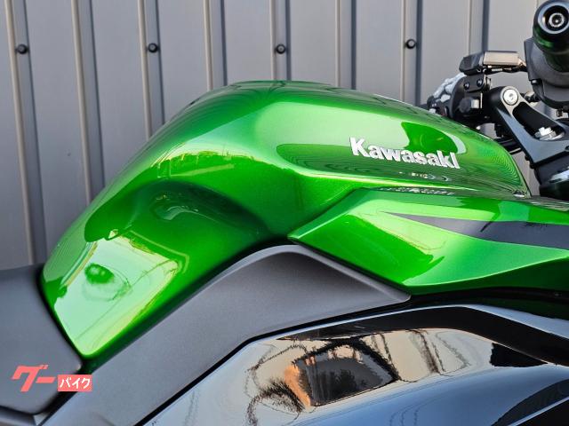 Kawasaki Ninja 1100 SX SE ETC/ - 2025 — миниатюра 6