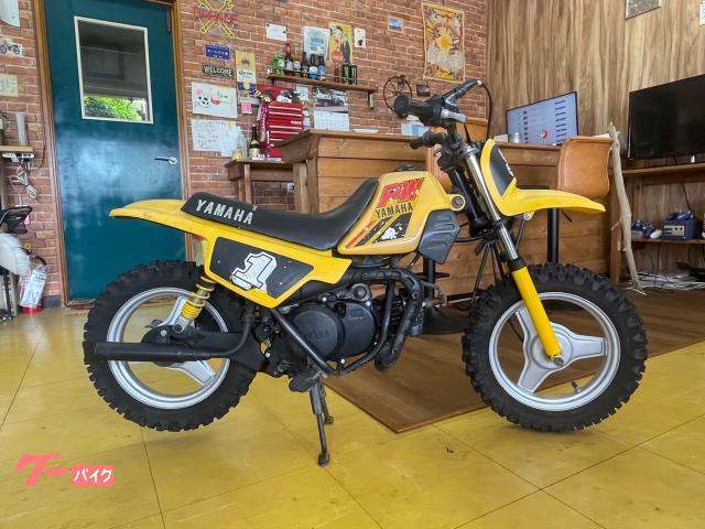 ＰＷ５０　希少イエロー