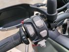 タイガー900ラリー PRO
