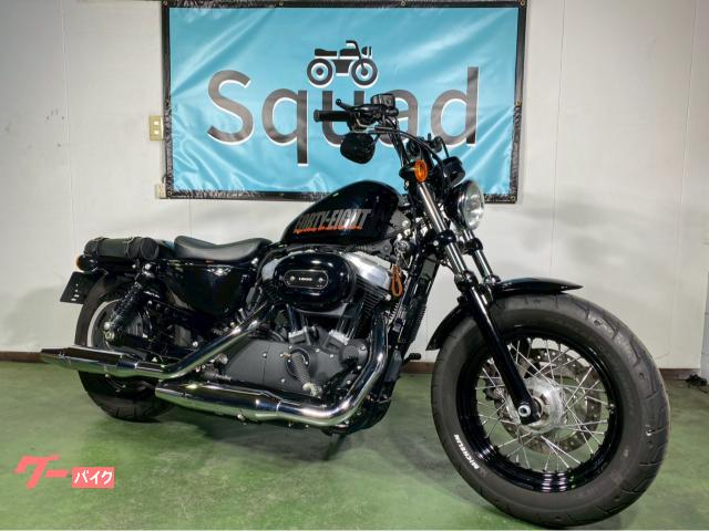 ＸＬ１２００Ｘ　フォーティエイト　２０１５年モデル　サイドバック