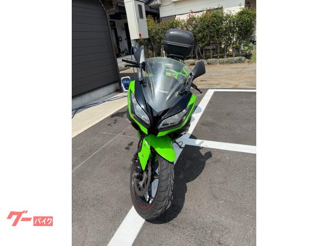 H165超激レア！希少貴重種！リーア ジッペリアナ 当店養生株 カワサキ Ninja ZX－4RR｜（株）はとや 上尾店｜新車