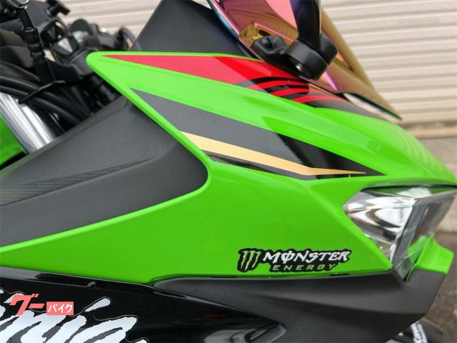 カワサキ Ninja 250 ETC マルチバー スライダー