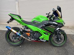 カワサキ　Ｎｉｎｊａ　２５０　ＥＴＣ　マルチバー　スライダー　ミラースクリーン　他アクセサリー多数　ＥＸ２５０Ｐ
