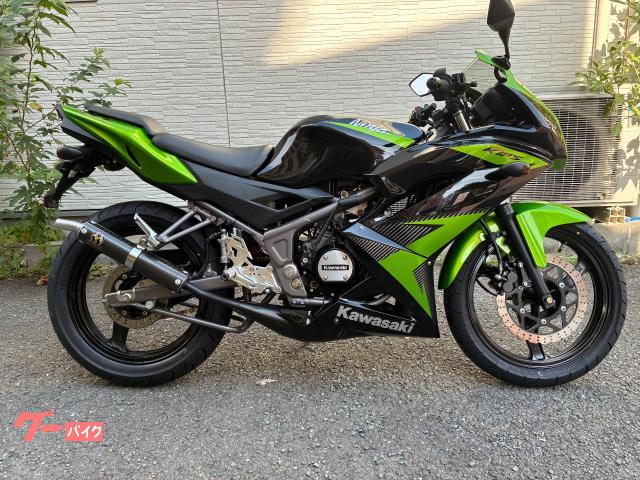 Ｎｉｎｊａ　ＲＲ１５０　ＳＰ忠男チャンバー　ＥＴＣ