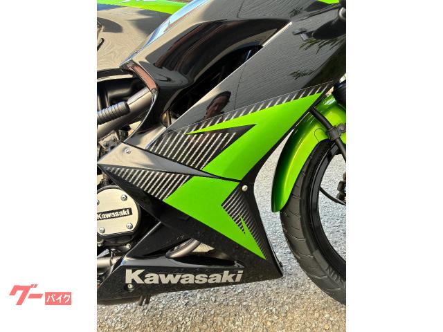 パクチードリアンさま♡専用ページ カワサキ Ninja RR150 SP忠男チャンバー ETC