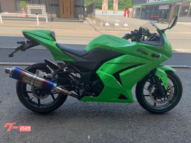 Ｎｉｎｊａ　２５０Ｒ