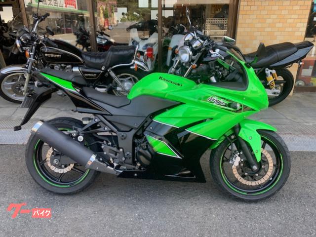 Ｎｉｎｊａ　２５０Ｒ　ＥＸ２５０Ｋ　スペシャルエディション
