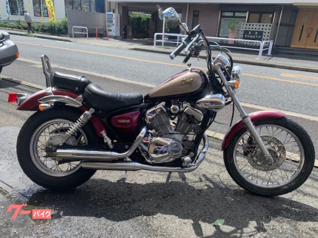 ＸＶ２５０ビラーゴ　３ＤＭ