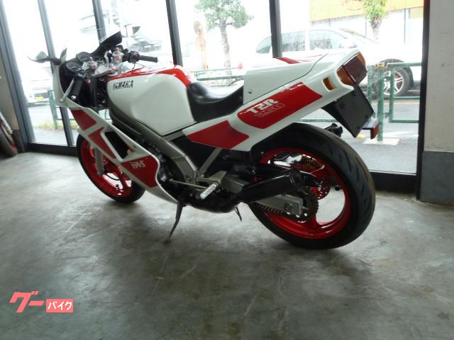 【最終値下げ】YAMAHA TZR250 2xt (1KT) 純正フロントカウル 京都 中古バイク ヤマハ バイク YAMAHA TZR250 1KT – 京都の