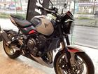 トライデント800 2027年 正規輸入モデル 新車 アッシュグレー