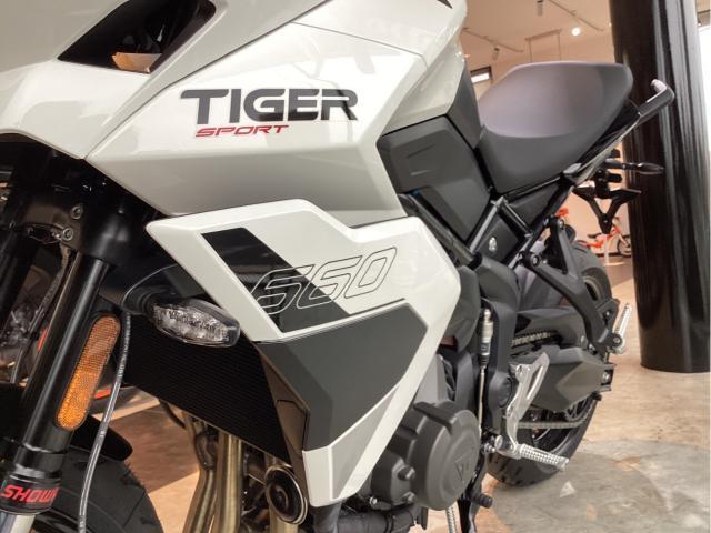 タイガースポーツ660 2026年 正規輸入モデル 新車 ピュアホワイト