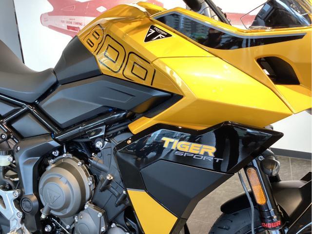 タイガースポーツ800 2027年 正規輸入モデル 新車 コスミックイエロー