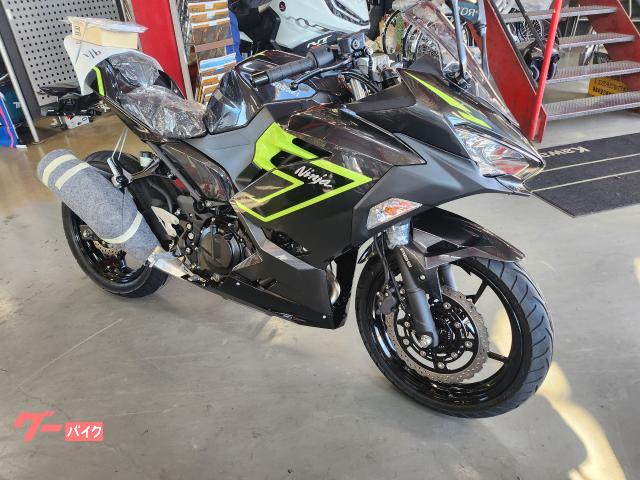 Ｎｉｎｊａ　２５０