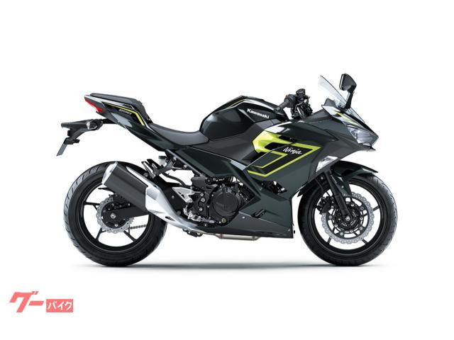 Ｎｉｎｊａ　２５０　最新モデル　ＥＸ２５０Ｙモデル