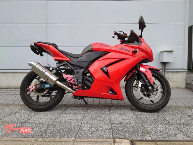 カワサキ Ｎｉｎｊａ ２５０Ｒ ＥＴＣ装備 カスタム多数｜ＫＴＳ湘南｜新車・中古バイクなら【グーバイク】