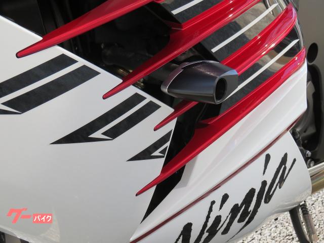 カワサキ Ninja ZX－14R ファイナル ETC2．0