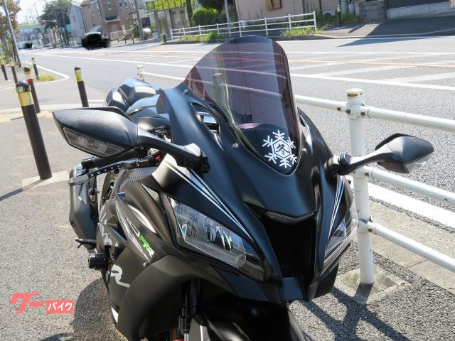 カワサキ Ninja ZX－10RR フォークスライダー EG