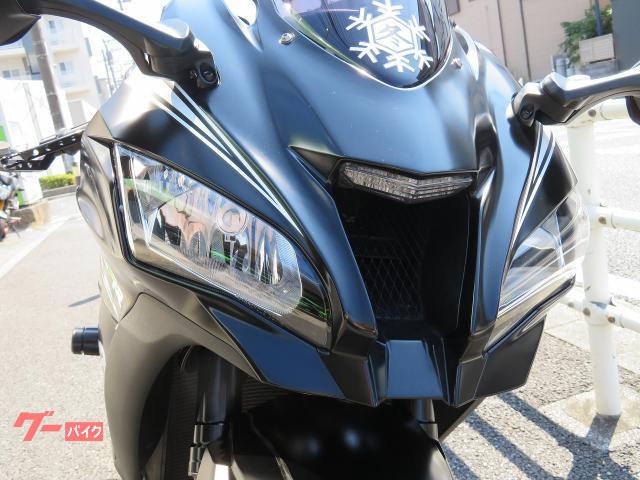 レグ カワサキ Ninja ZX－10RR フォークスライダー EG