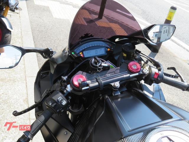 レグ カワサキ Ninja ZX－10RR フォークスライダー EG
