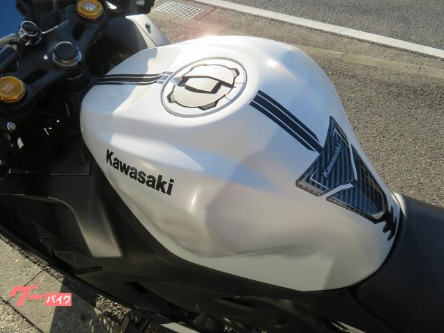 カワサキ Ninja ZX－4R SE ETC2．0 ラジエターガード
