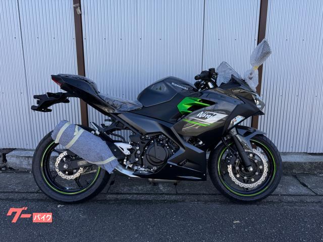 Ｎｉｎｊａ　２５０　２０２４年モデル