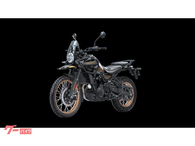 ヒマラヤ４５０