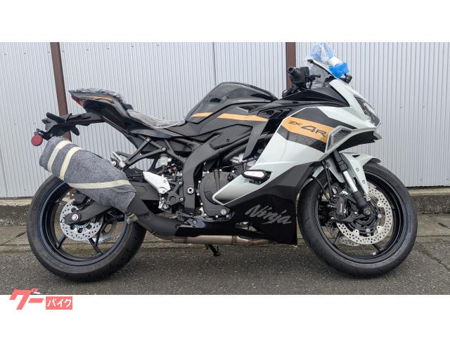 特別値下げ❗HO✨激レア❗新幹線✨４両セット❗訳あり、年代物❗ DD 最高レア セット 最終お値下げ カワサキ Ninja ZX－4R SE