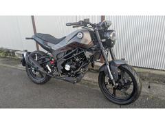 ＢＥＮＥＬＬＩ　レオンチーノ１２５