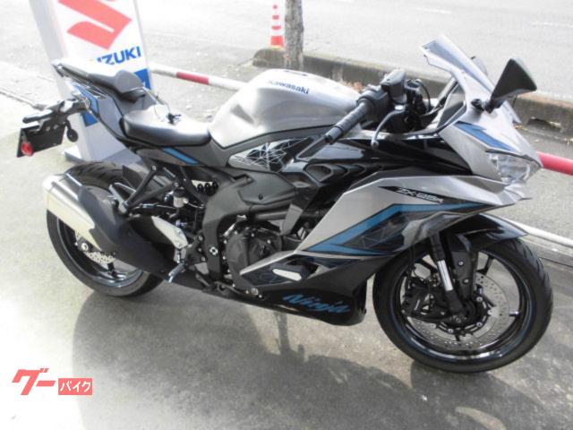 Ｎｉｎｊａ　ＺＸ−２５Ｒ　ＳＥ　２０２４モデル