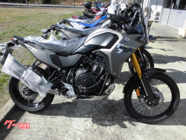 テネレ７００　２０２５モデル