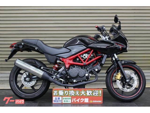 ＶＴＲ２５０Ｆ　カスタムミラー　バーエンド　ラジアルタイヤ装着車