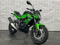 カワサキ　Ｎｉｎｊａ　２５０ＳＬ　タンクパッド　ＥＴＣ