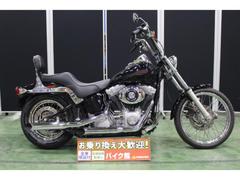 ＨＡＲＬＥＹ−ＤＡＶＩＤＳＯＮ　ＦＸＳＴ　ソフテイルスタンダード　２００４年モデル　ＳＥエアクリ　デイトナマフラー　ＴＣ８８キャブ