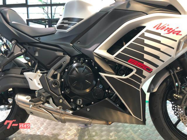 カワサキ Ninja 650 メタリックマットホワイティッシュ