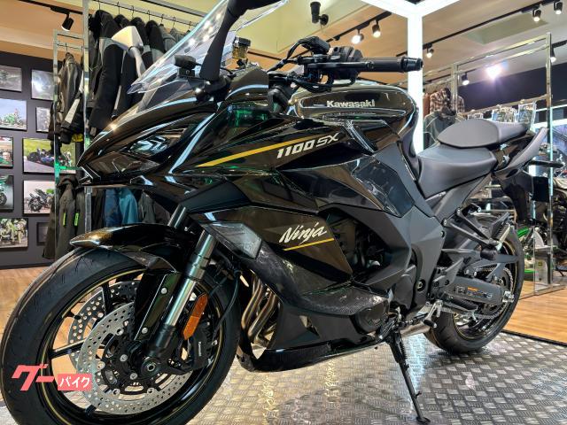 カワサキ Ninja 1100 SX メタリックブリリアントゴールデン