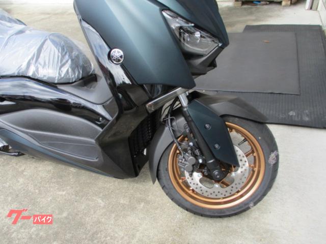 ヤマハ Ｘ－ＭＡＸ２５０の画像（茨城県