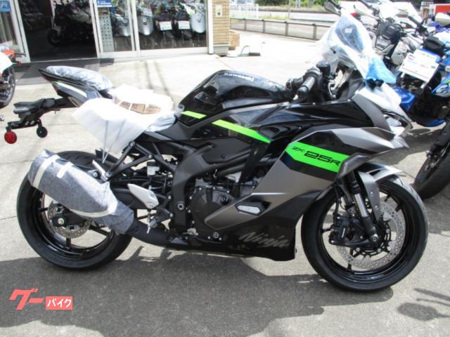 Ｎｉｎｊａ　ＺＸ−２５Ｒ　ＳＥ　　　　２０２６
