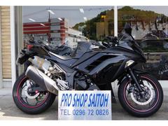 カワサキ　Ｎｉｎｊａ　２５０