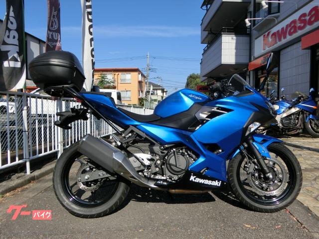 Ninja 250 ETC グリップヒーター付き